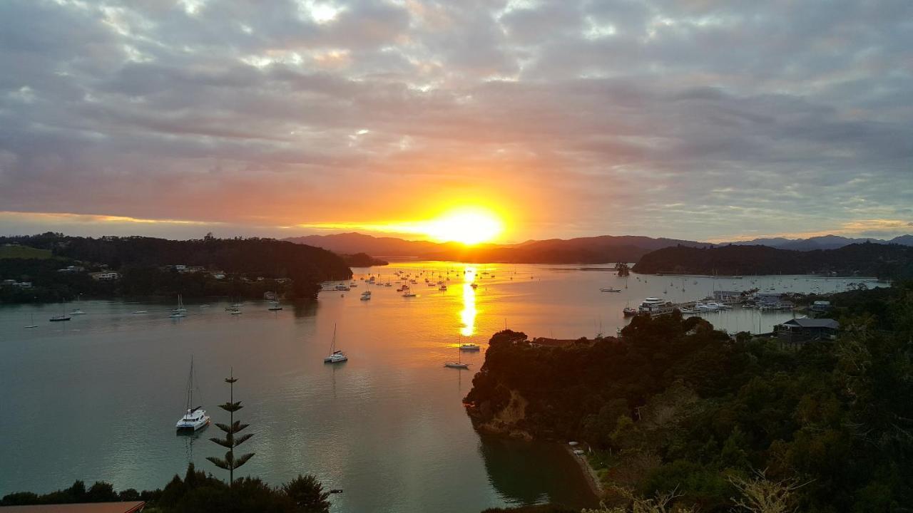 Marina Cove Bay Of Islands Βίλα Opua Εξωτερικό φωτογραφία